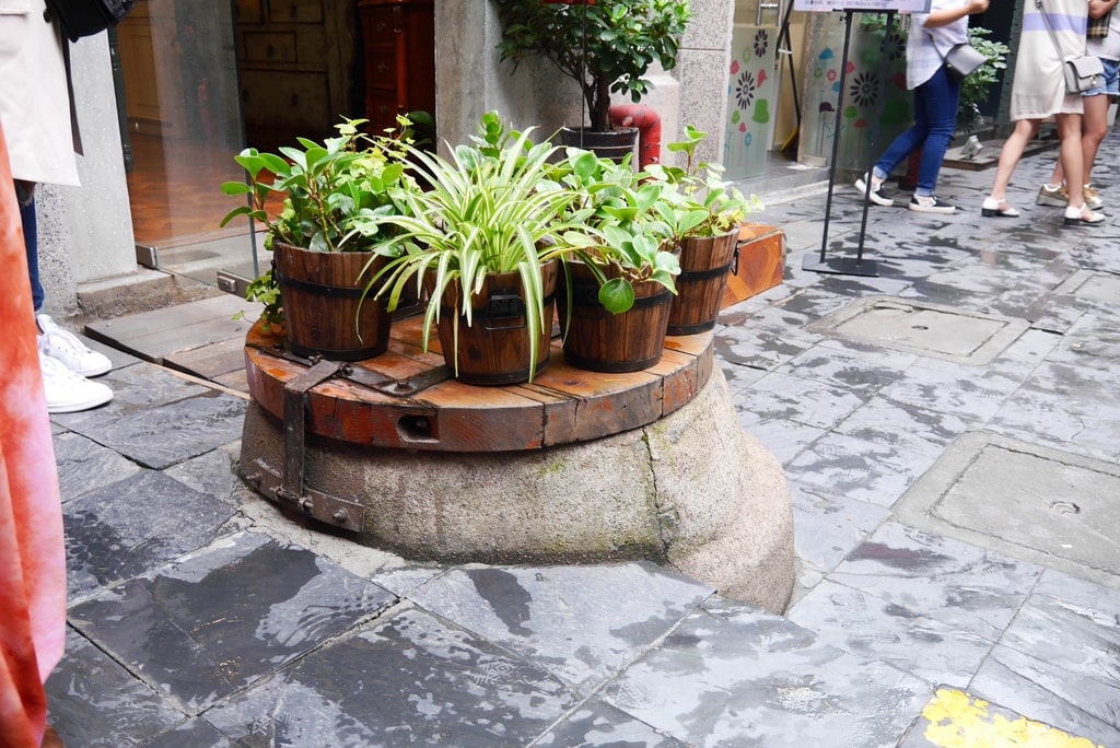 P2480252.jpg