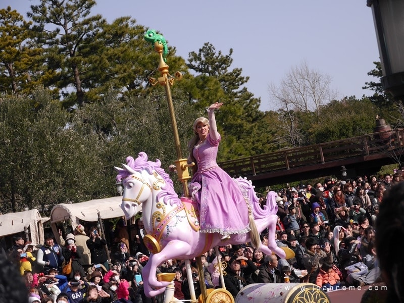 P2380638.JPG