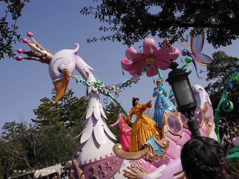 P2380642.JPG