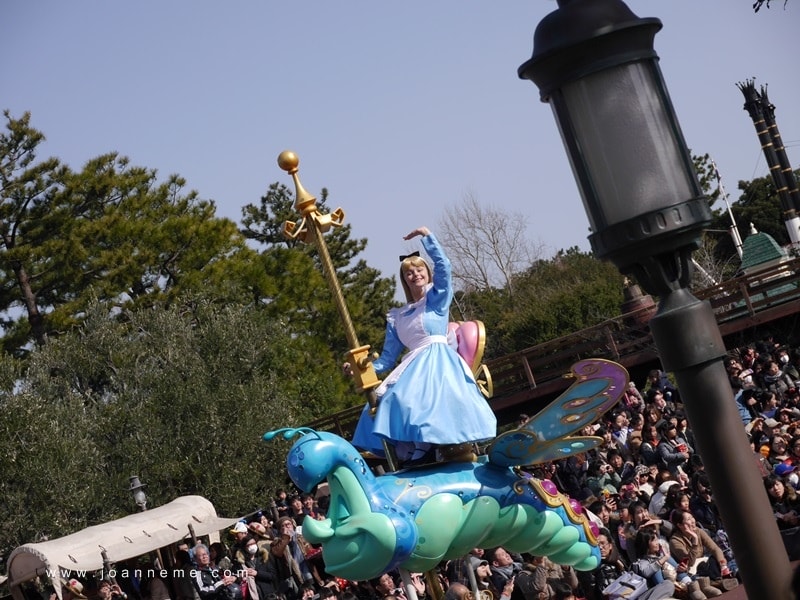 P2380654.JPG