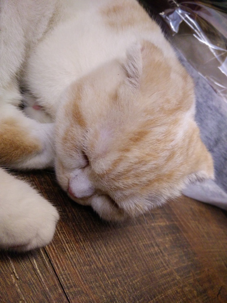 IMG20140523191257.jpg