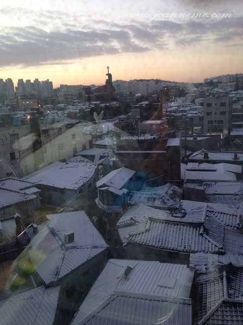 IMG_5528.JPG